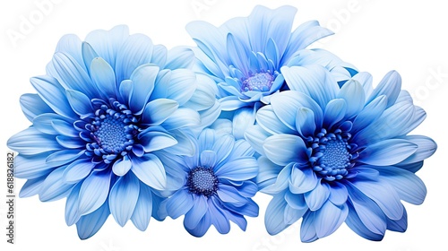 Exotic Blue Flowers for Greeting Cards. 3 High-Quality, Macro, and Isolated Flowers for Anniversaries, Weddings, and Mother's Day Design. Generative AI