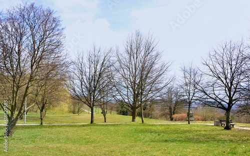 Photo in the city park near the housing estate - fields of hilly grasses with bare trees - spring early April