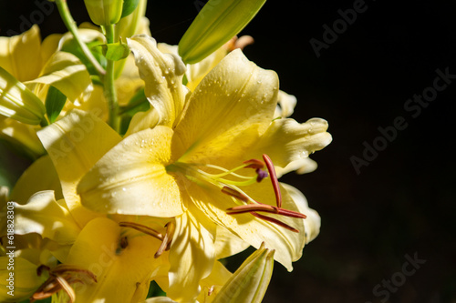 夜のカサブランカ
