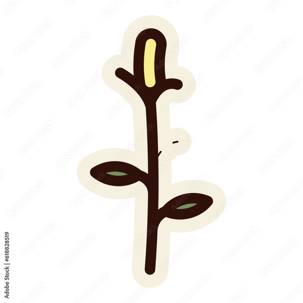 wildflower illustration wildflower illustration