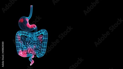 3D Gastrointestinal tract Scan. Organ Scanning Interface. HUD stomach analyze. Spread of temperature and pain through the human Gastrointestinal tract. Medical Science Anatomy. 3D animation. #618828580