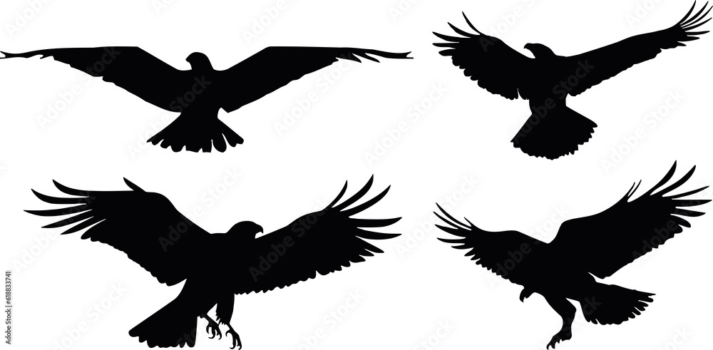 Obraz premium eagle flying silhouette