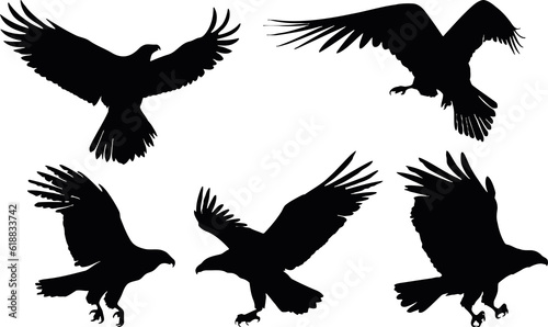 set of flying eagle silhouettes
