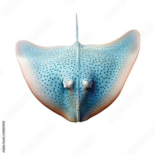 Stingray on a transparant background, PNG, Generative Ai.