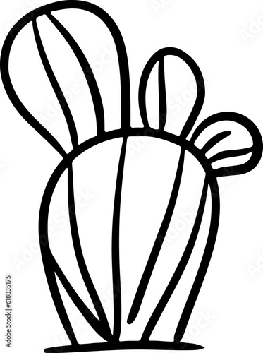 Cactus plant Succulent Desert