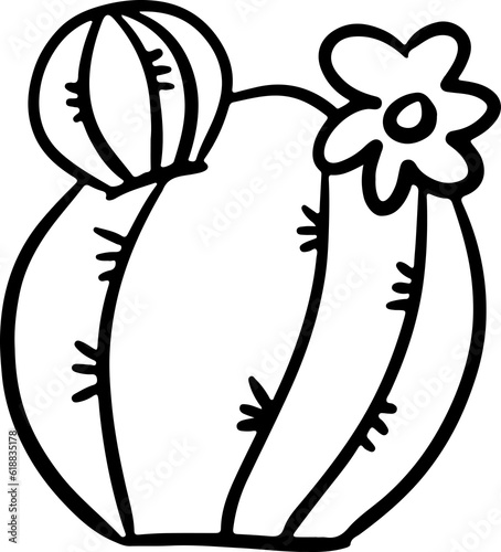 Cactus plant Succulent Desert