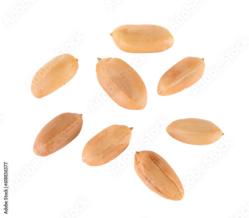 peanuts seeds isolated on transparent png