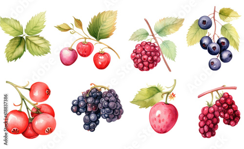 collection of soft watercolor berries isolated on a transparent background  generative ai