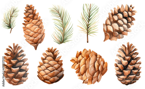 collection of soft watercolor pinecones flowers isolated on a transparent background, generative ai