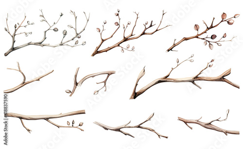 collection of soft watercolor thorns and branches isolated on a transparent background, generative ai