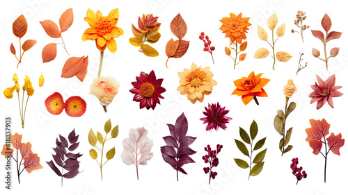 collection of autumn flowers isolated on a transparent background, generative ai