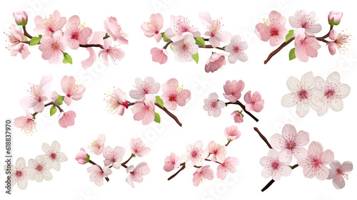 collection of blossoms flowers isolated on a transparent background, generative ai © Perfect PNG