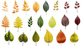 collection of leaves flowers isolated on a transparent background, generative ai