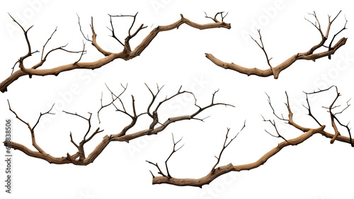 collection of twisted branches isolated on a transparent background, generative ai