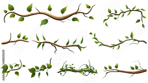 collection of twisted jungle branches with sprouting isolated on a transparent background  generative ai