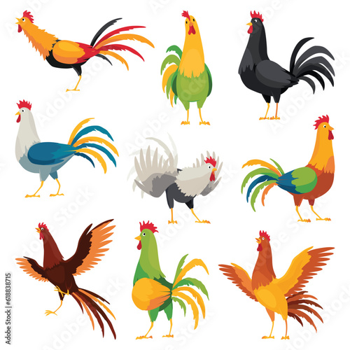 Farm cock icons. Set of adorable cock animal at dawn. Colorful rooster, poultry farming vector Illustration on white background