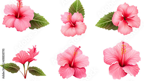 collection of hibiscus flowers isolated on a transparent background, generative ai