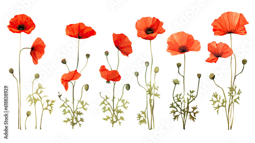 collection of poppies flowers isolated on a transparent background, generative ai