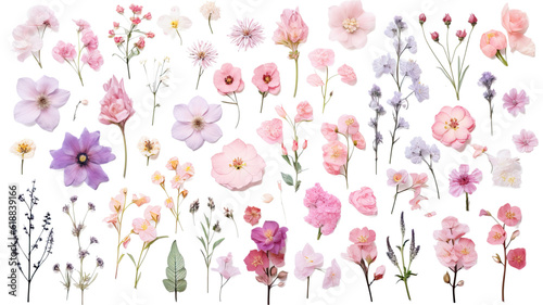 collection of soft pastel spring flowers isolated on a transparent background, generative ai