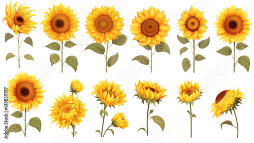 collection of sunflowers flowers isolated on a transparent background, generative ai