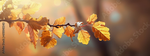Colorful Autumn leaves Orange Nature Tree - Generative Ai