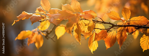 Fall Season Autumn leaves Orange Tree - Generative Ai