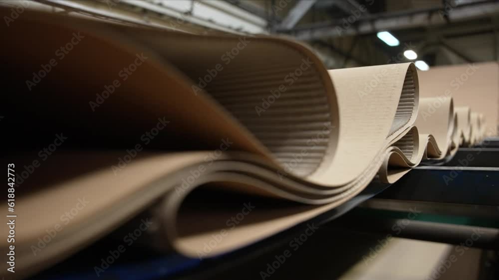Enterprise for the production of cardboard containers .   Manufacture of cardboard boxes and corrugated packaging.