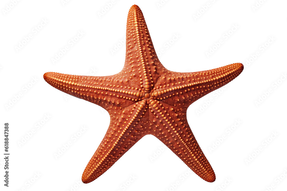 Starfish, Transparent background. generative AI Starfish, Transparent background. generative AI