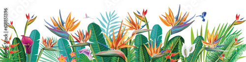 Banner from Strelitzia flowers and tropical plants