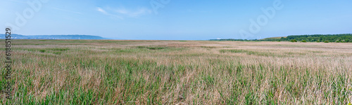panoramic image of the grassy landscape in the nature conservation area at the river outfall of the Seine in the Normandy, France photo