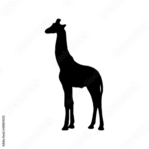 Giraffa camelopardalis is even-toed ungulate mammal isolated on white background. Black ink hand drawn image sketch in art retro style pen on paper. Side view with space for text