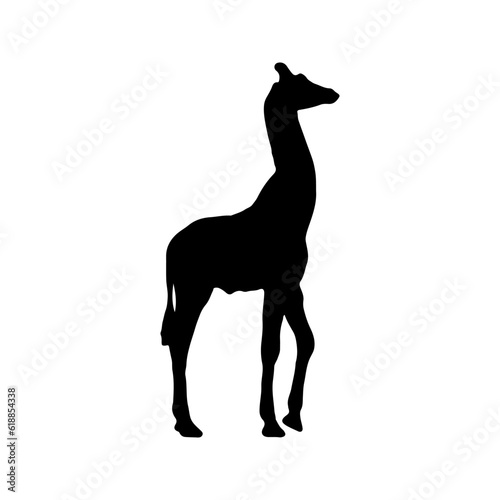 Giraffa camelopardalis is even-toed ungulate mammal isolated on white background. Black ink hand drawn image sketch in art retro style pen on paper. Side view with space for text