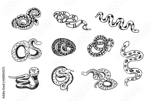 Snake animal line vector illustrations set.