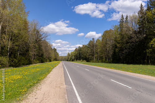 paved road in the countryside in the spring forest © rsooll