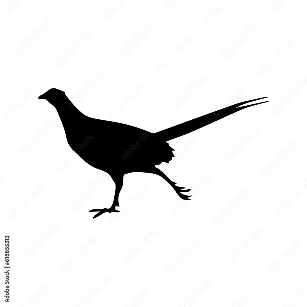 Fototapeta premium beautiful bird silhouette