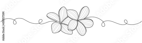Plumeria flower line art style vector illustration