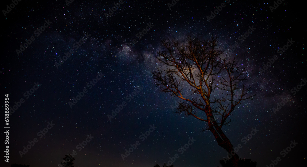 Blue night panorama, milky way sky and stars on a dark background,starry universe, nebula and galaxies with noise and color pigment, long exposure and selective white balance, selective focus. amazing