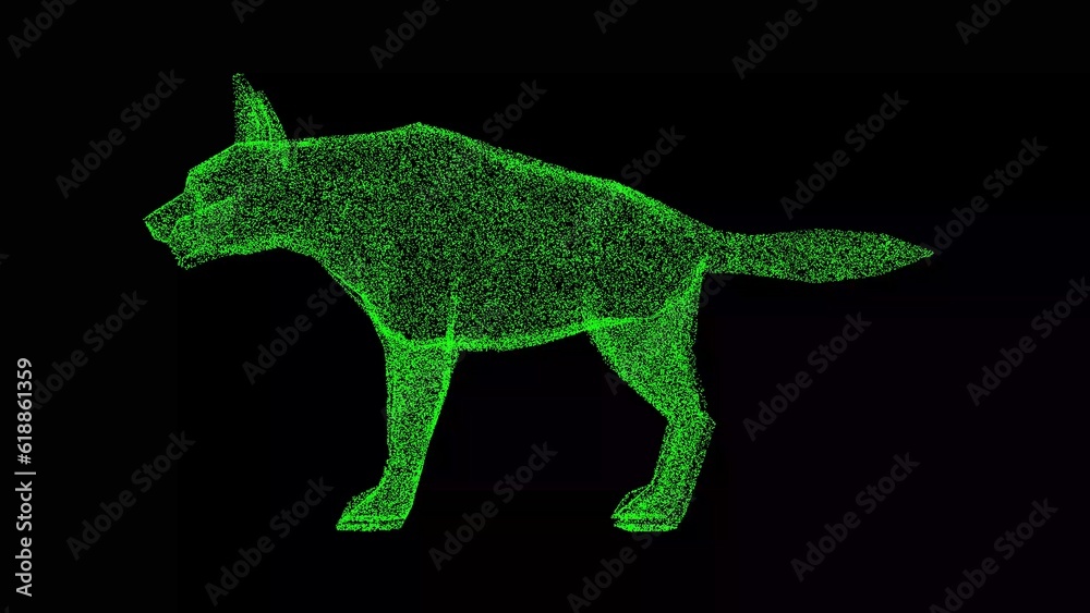 Obraz premium 3D Hyena on black bg. Wild animals concept. Protection of the environment. Zoo concept. For title, text, presentation. Object made of shimmering particles. 3d animation.