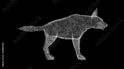 3D Hyena on black bg. Wild animals concept. Protection of the environment. Zoo concept. For title, text, presentation. Object made of shimmering particles. 3d animation. © Оксана Олейник