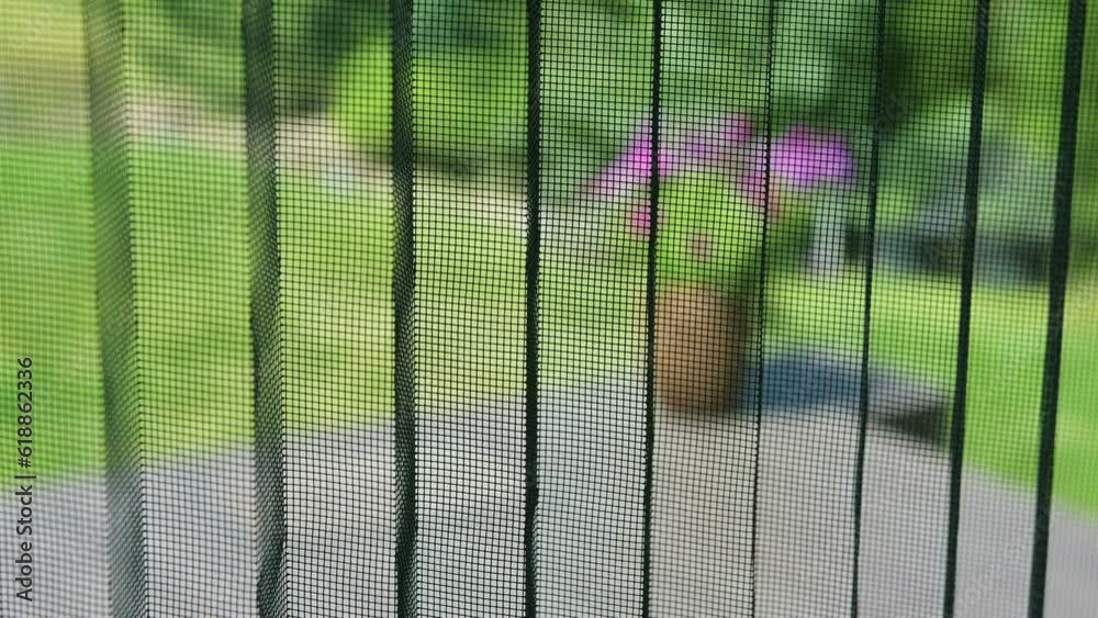 Fly screen door closing, mesh net for bugs and mosquitoes. Concept of protection against annoying insects.