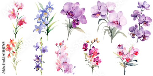 Watercolor Illustration Set of Orchids Flowers, Bouquets and Wildflowers