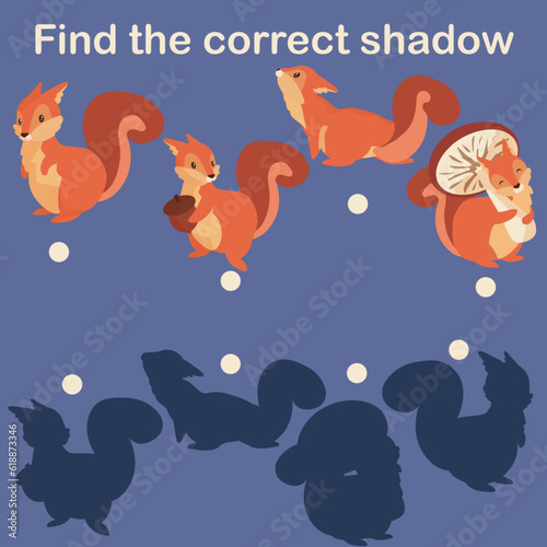 Find squirrels correct shadow. Preschool kids worksheet. Connect shade with cute mammal. Children study exercise. Nursery logic game. Animal poses. Vector educational puzzle design