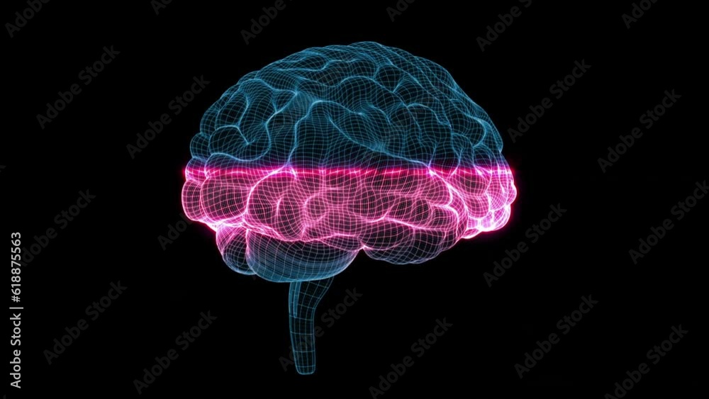 Blue brain grid spinning in black space in a 3D animation Blue brain grid spinning in black space in a 3D animation