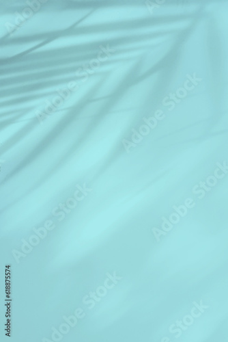 Tropical palm leaves shadow on pastel color background with copy space