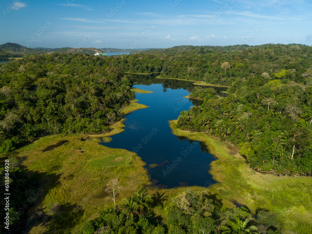 Aerial shot of tropical rainforest, Soberania National Park, Panama Canal, Panama - stock photo