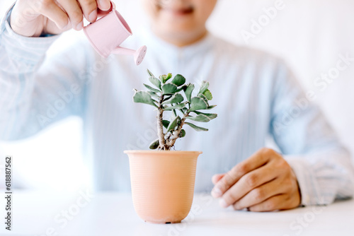 Close-up of a young man's hand holding a small watering can and watering a plant in a pot The concept of preserving the natural environment