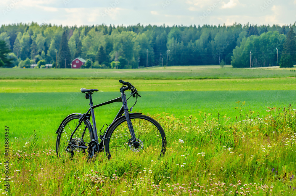 bicycle on the meadow, sporting in beautiful nature with a bike, healthy sport for green values