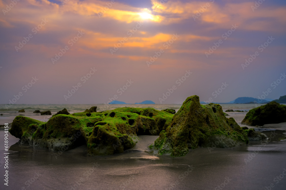 Coastal Rocks and Seaweed, Captivating Oceanic Landscape with Vibrant ...