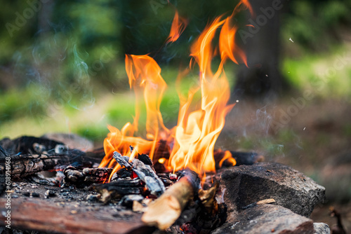 Campfire for cooking in the forest. Burning fire. The fire burns in the forest. Burning fire texture. Burning dry branches. Tourist fire in the forest. Texture of burning branches.