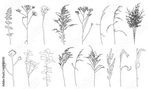 Set of weeds, wild plants in field and forest for architecture and landscape design, contour. Vector illustration